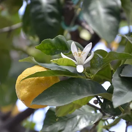 Bed & Breakfast Antica Dimora Olbia